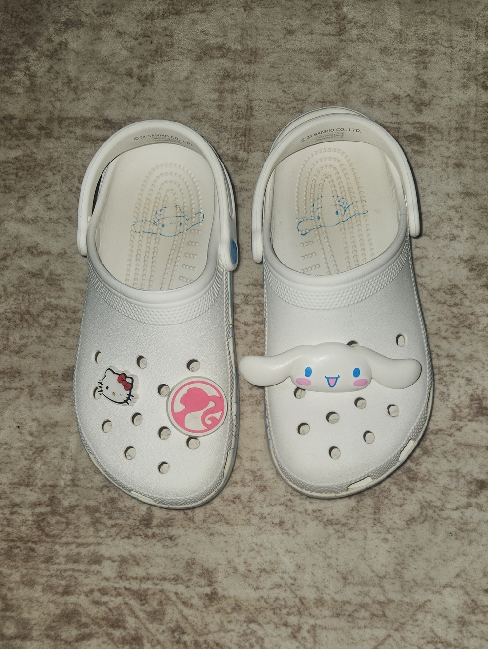 CROCS with Charms